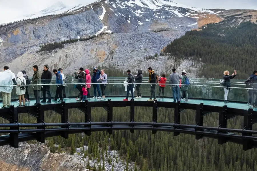 Group Tours